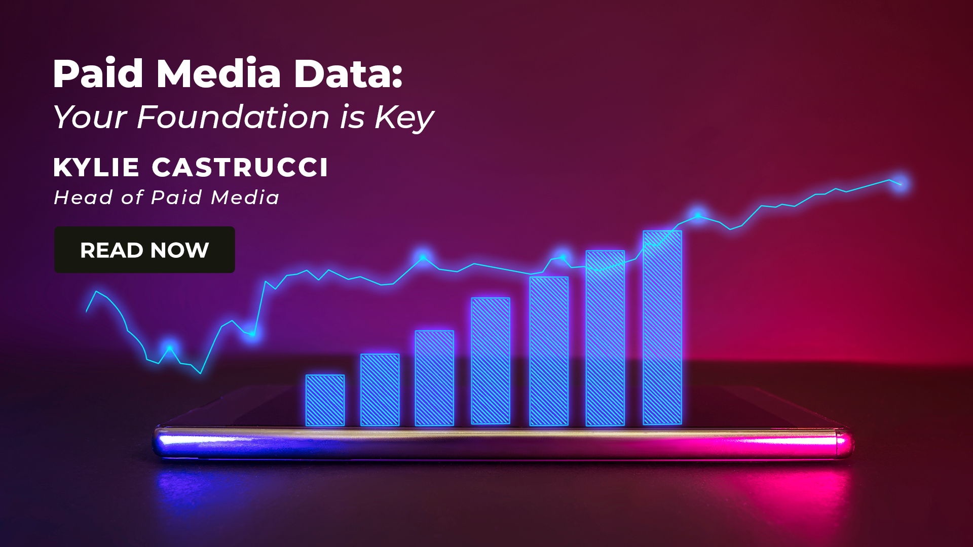 Socialfly-Paid-Media-Data